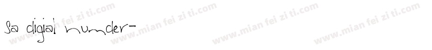 sa digial numder字体转换